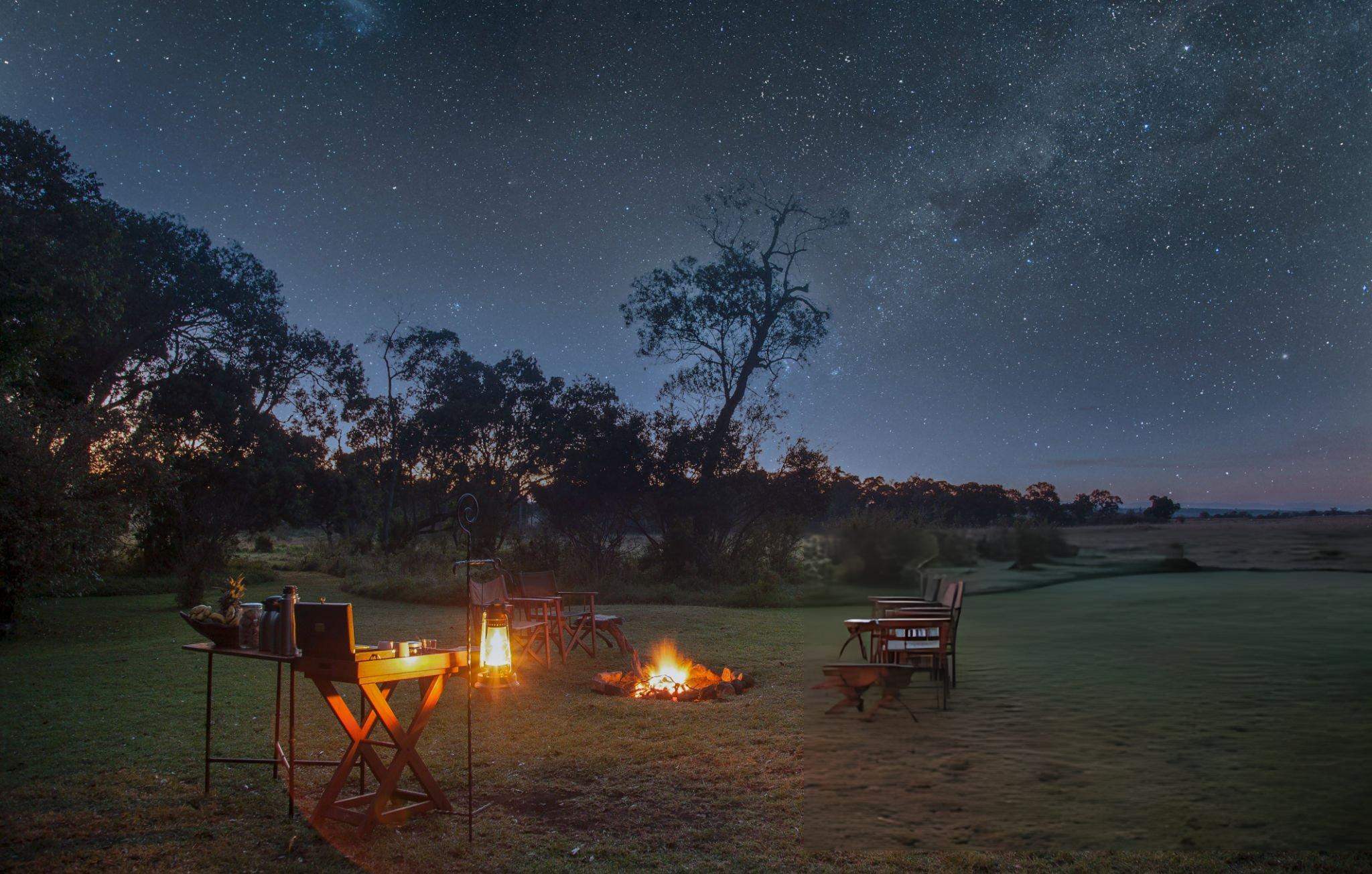 Night Safari — Big Cats